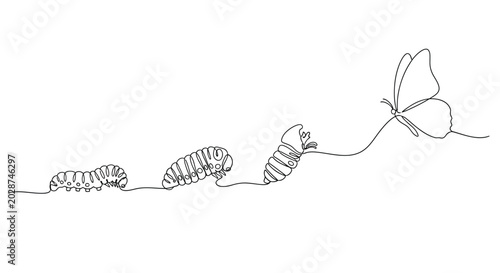 Canvastavla Metamorphosis of an insect from caterpillar to butterfly line art with life cycl