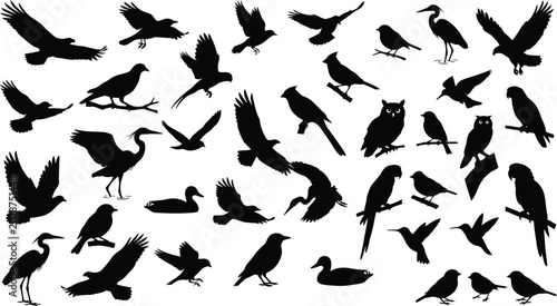Tableau sur toile Bird silhouettes collection on a white background