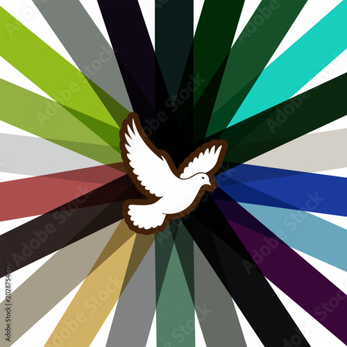 Dove, white dove, peace symbol, colorful background, vector icon