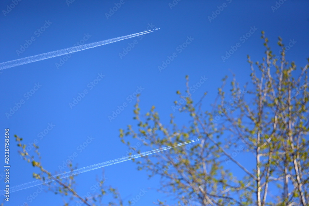 Obraz premium airplane in the sky