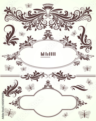 Elegant Vintage Floral Ornament Frame with Decorative Borders and Butterflies
