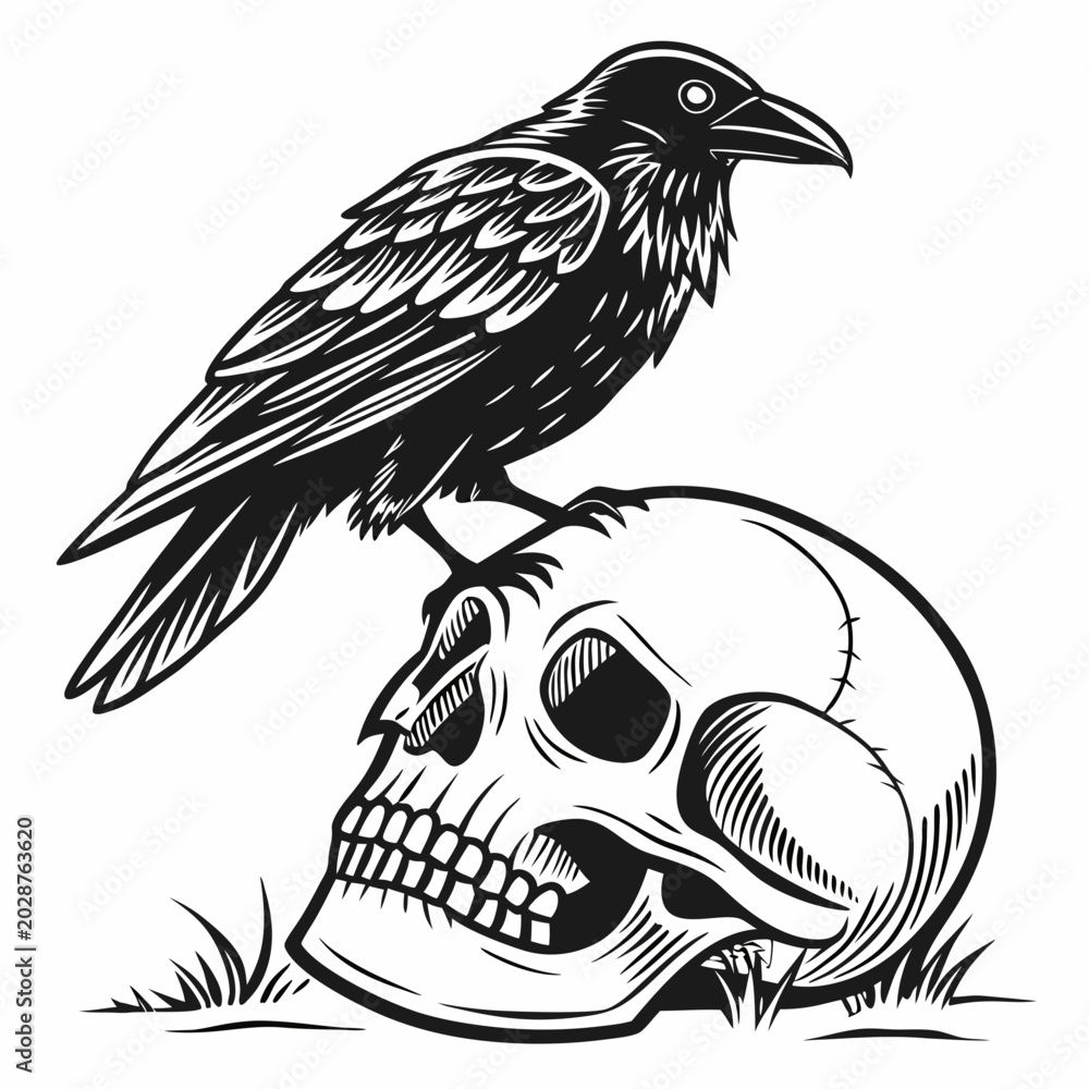 Fototapeta premium Crow sitting on a human skull. Vintage vector black illustration engraving