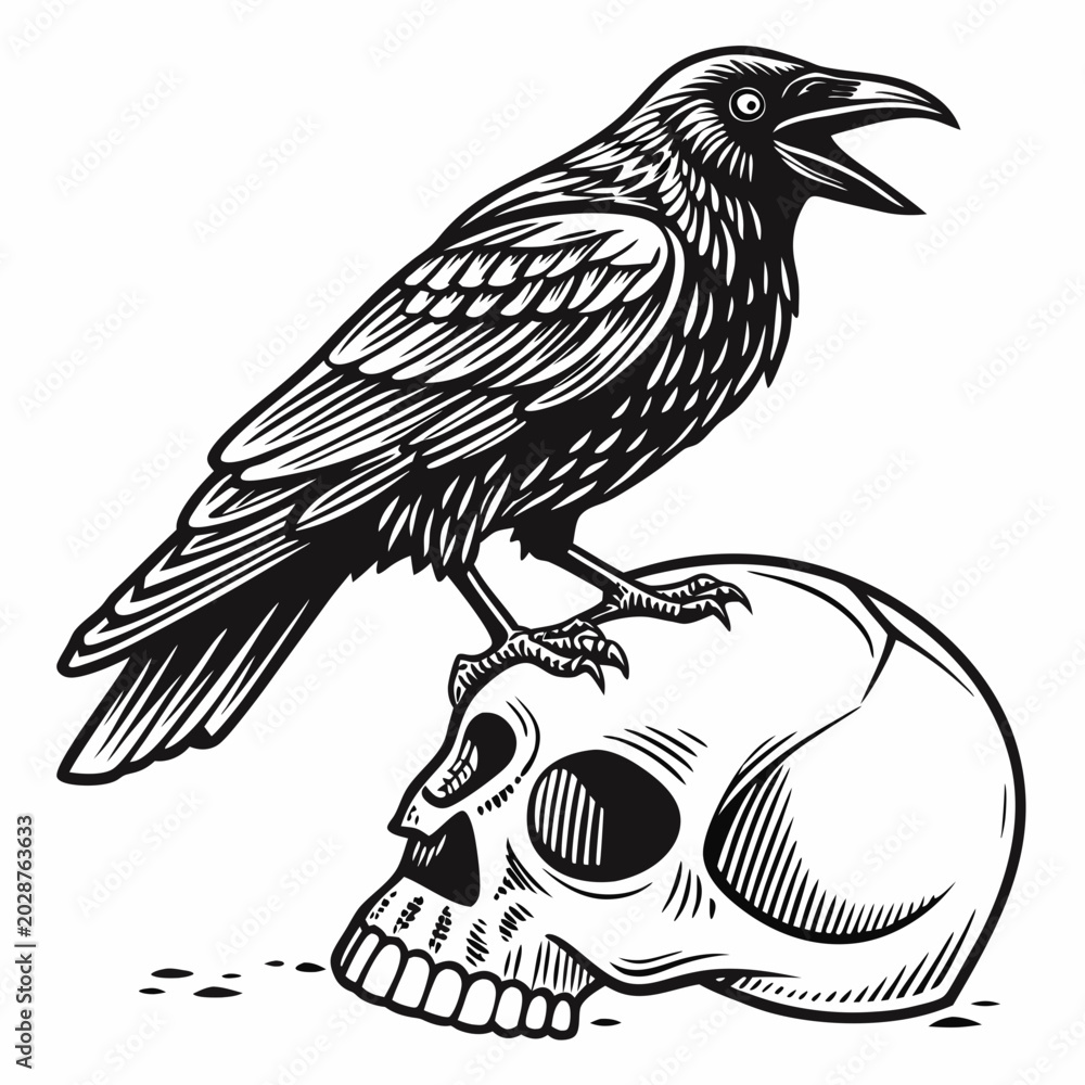 Fototapeta premium Crow sitting on a human skull. Vintage vector black illustration engraving