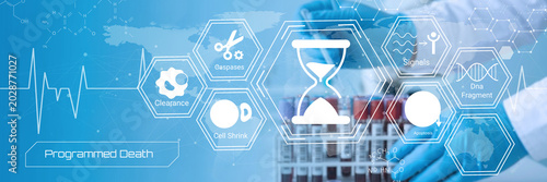 Foto Scientific illustration depicting programmed cell death process with key biologi
