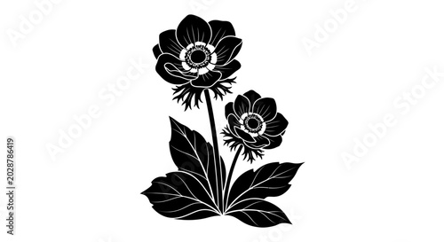 Bild auf Leinwand Black anemone flower silhouettes on a white background