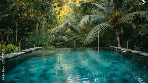 Pristine Infinity Pool in Lush Tropical Jungle Setting