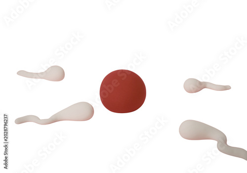Canvas Print 3D human egg cell with four sperm cells, fertilization concept isolated on trans