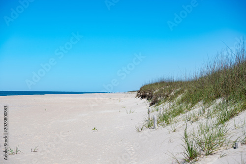 Soft sand stretches toward calm ocean waves