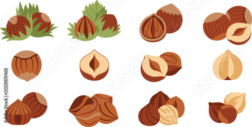 Photos Fresh Hazelnuts and Filbert Nuts Vector Illustration Set with Whole Pods, Green