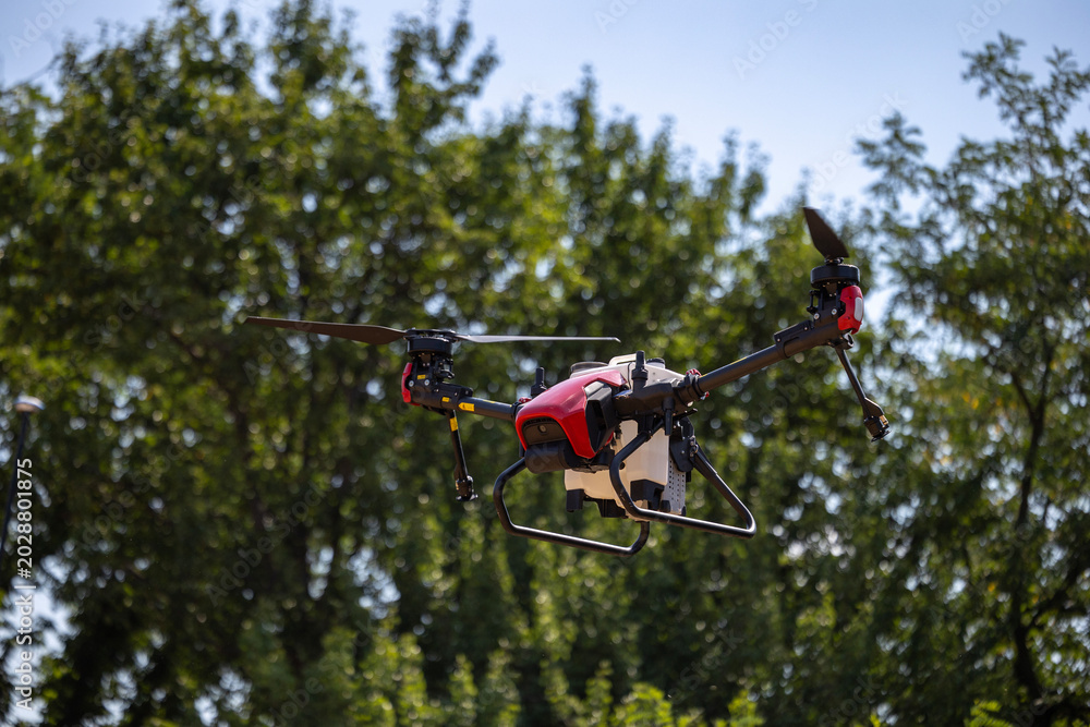 Naklejka premium An unmanned agricultural aerial vehicle equipped with a spraying tank flies in the air against a background of green deciduous trees on a clear day during a technology demonstration