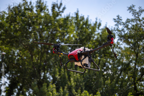 An unmanned agricultural aerial vehicle equipped with a spraying tank flies in the air against a background of green deciduous trees on a clear day during a technology demonstration