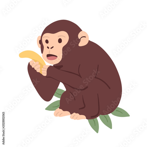 Photography Cute monkey holding a banana, jungle animal isolated on white background, playful tropical wildlife character, modern colorful design, funny primate mascot style