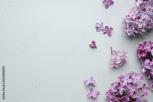 Fresh lilac flowers on grey background, flat lay. Space for text