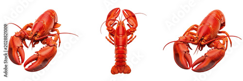 Foto Set of Fresh Red Lobster Seafood Gourmet Ocean Crustaceans PNG Collection