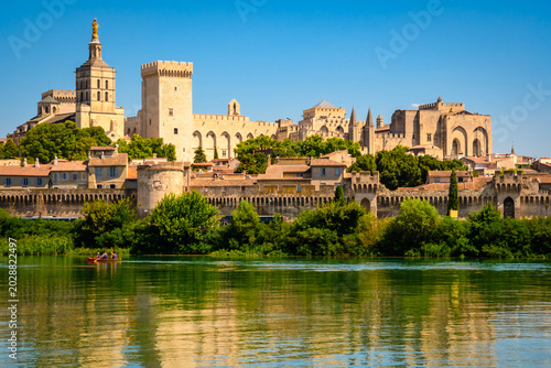 Obraz na plátne Panoramic view of the historic center, Papal Palace and ancient city walls rise