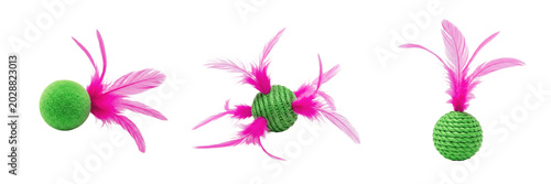 Photos Set of Colorful Cat Toys with Pink Feathers and Green Mesh Balls PNG Collection