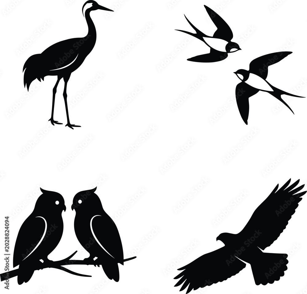 Fototapeta premium Bird silhouette collection featuring crane, swallows, owls, and hawk representing wildlife diversity, flight, and nature in elegant vector design