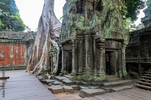 Foto Ta Prohm temple in Siem Reap, Cambodia, showcases ancient Khmer architecture entwined with massive tree roots, a testament to nature's power over time