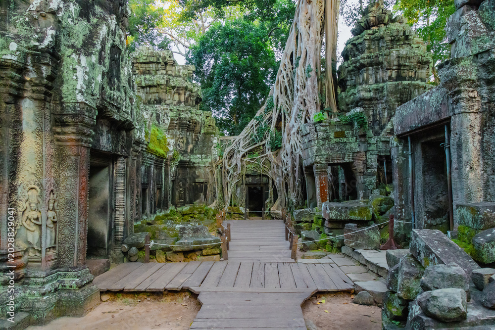 Fototapeta premium Ta Prohm temple in Siem Reap, Cambodia, showcases ancient Khmer architecture entwined with massive tree roots, a UNESCO World Heritage site.