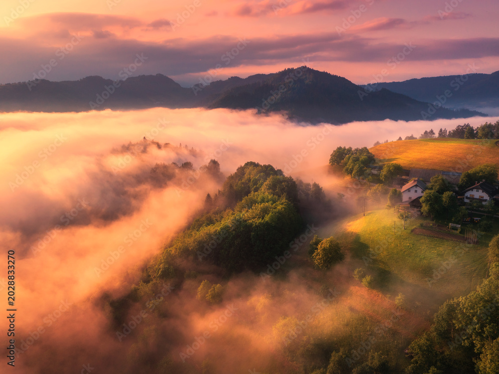 Fototapeta premium Aerial view of alpine meadows and mountains in low clouds at golden sunrise in summer. Top drone view of hills with green grass, trees in fog, house, colorful sky in Slovenia. Nature. Mountain valley