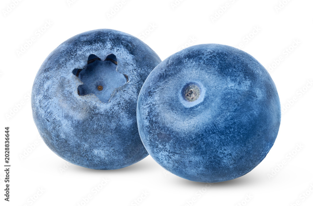Fototapeta premium Fresh ripe blueberry isolated. Blueberries berries with clipping path.