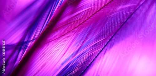Macro photo feathers colored artistic bohemian style cozy boho aesthetic background close up	

