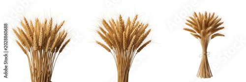Foto Set of Three Golden Wheat Sheaves and Stalks Bundles Isolated on White Backgroun