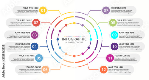 Bild auf Leinwand Circular infographic business concept template with 12 steps for workflow presentations and corporate reports