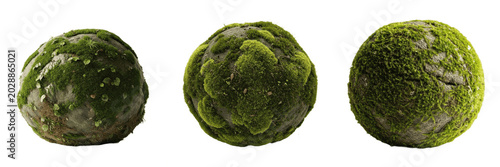 Schilderij op canvas Green mossy stone spheres set with realistic texture details, isolated round mos