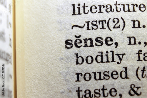 Word sense on dictionary page, macro close up