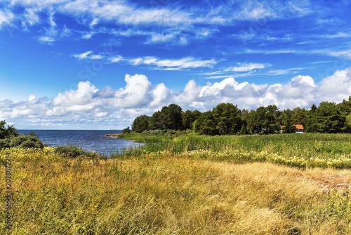 Typical coastline in summer, Eckerö, Fasta Åland, Aland Islands, Aland Islands, Finland