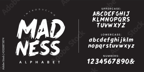 Foto Madness horror aggressive brush font scratch messy text template vector typograp