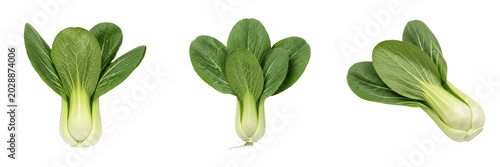 Fotografie Set of Three Fresh Baby Bok Choy Heads Isolated on White Background, Organic Chi