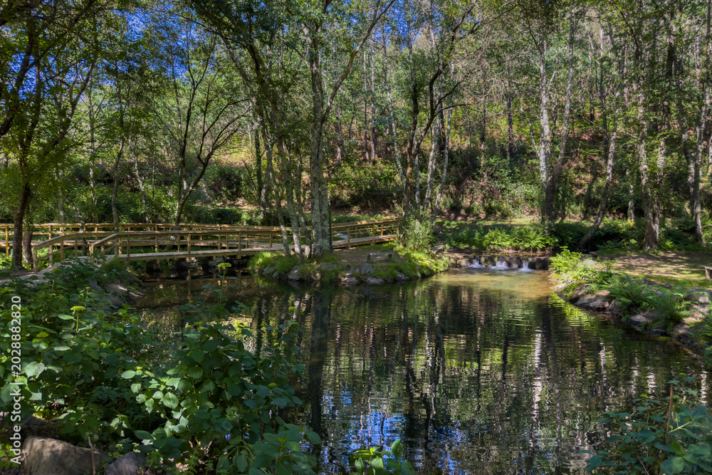 Obraz premium Wooden Footbridge Over a Calm Pond in Parque de Lazer de Nadais Portugal