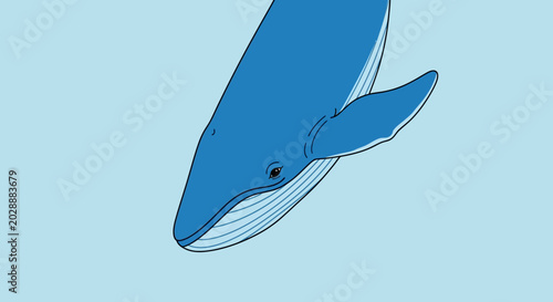Foto Blue whale swimming in clear blue ocean water, marine life