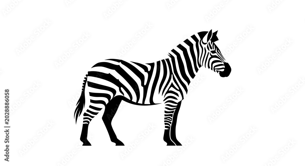Obraz premium Striking Black and White Zebra Standing Tall in Profile.