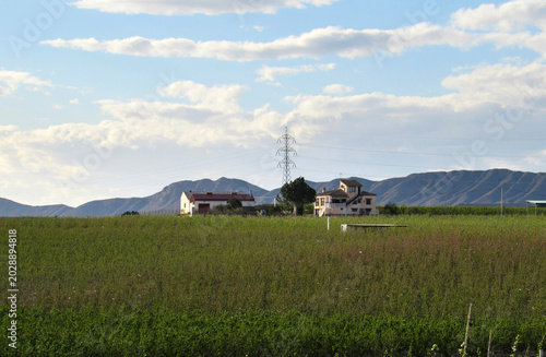 Rural landscape with green agricultural fields and country houses against arid mountains; mediterranean farming and country living.