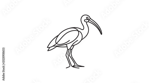 Elegant Line Art Ibis Bird Silhouette, Minimalist Wildlife Illustration