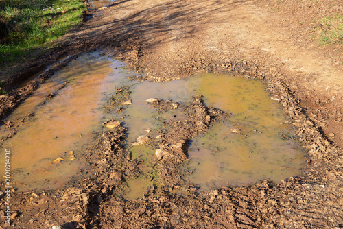 Bild auf Leinwand Large muddy water puddle with brown clay silt and tyre tracks on a rural dirt road path in the countryside during a sunny day after rain