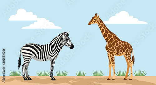 Photography Zebra and Giraffe in African Savanna Landscape