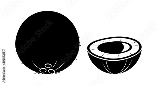 Photos Coconut fruit icon shows a whole and a halved tropical drupe featuring a fibrous exterior and nutritious white flesh for healthy diet concepts