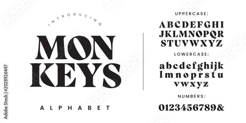 Fotografía Monkeys heavy high contrast display serif font with sharp geometric counters for