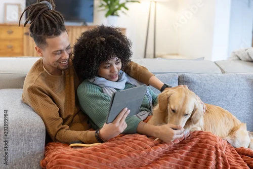Fototapeta African American couple sitting close on gray sofa at home in knits, holding tablet petting dog