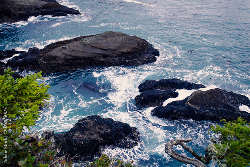 Картината върху платно Ratchets rock near Cape Flattery, the most northwestern point of Washington Stat