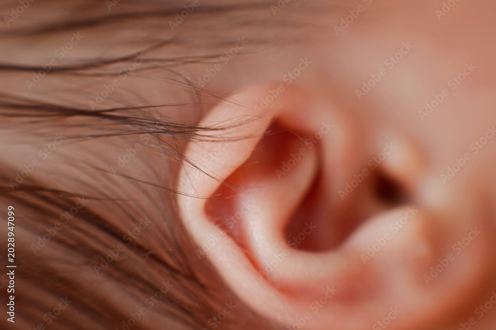 Fototapeta premium Caucasian Newborn baby ear closeup macro detail shot. child portrait, health skin, tenderness, maternity and babyhood concept - Image. Soft selective focus