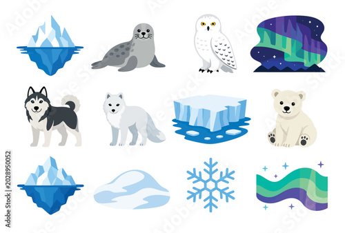 Photos Arctic animals and icebergs.
