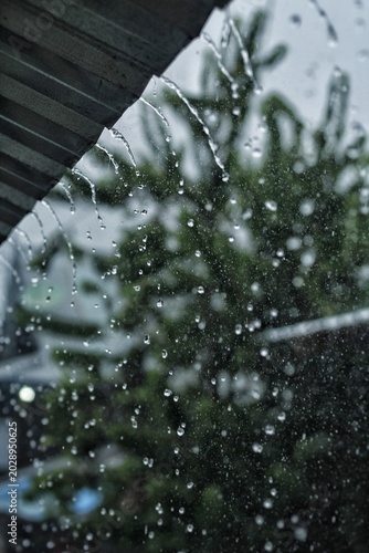 Obraz na płótnie Close-up of heavy rain pouring down from a metal roof against a blurred background