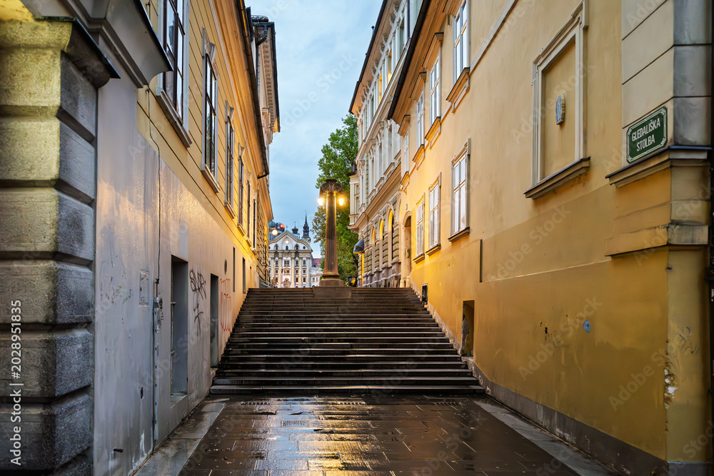 Fototapeta premium A narrow stairway in the old town, often referred to as Gledališka stolba or Theater Stairs, connecting the Kongresni trg (Congress Square) to the Ljubljanica River embankment, Ljubljana Slovenia.