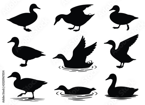 Collection of duck silhouettes in various poses black silhouette