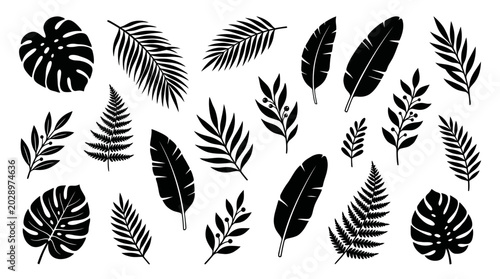 Tableau sur toile Assortment of black tropical plant leaves, perfect for summer graphic elements